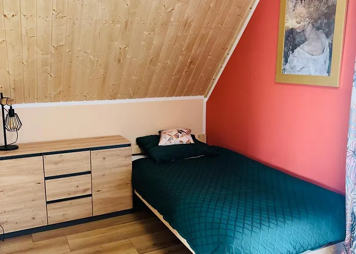 Jędruś - Całoroczne - Brązowy *