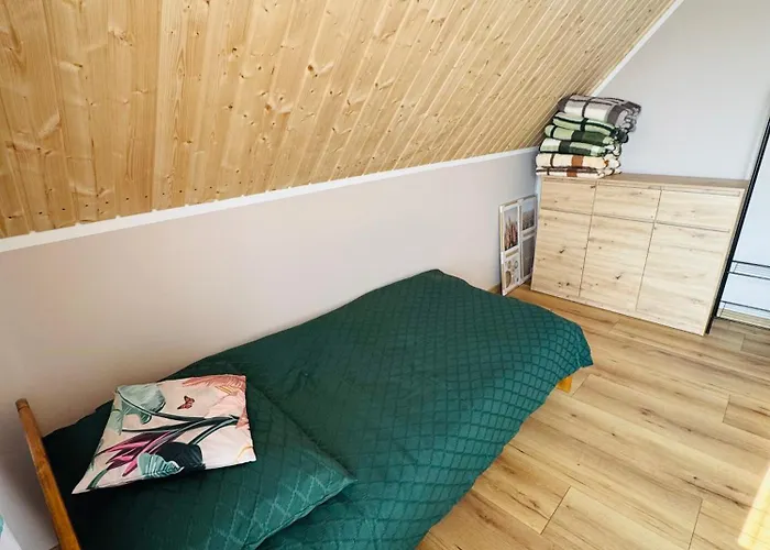 Jędruś - Całoroczne - Brązowy * Idzikow